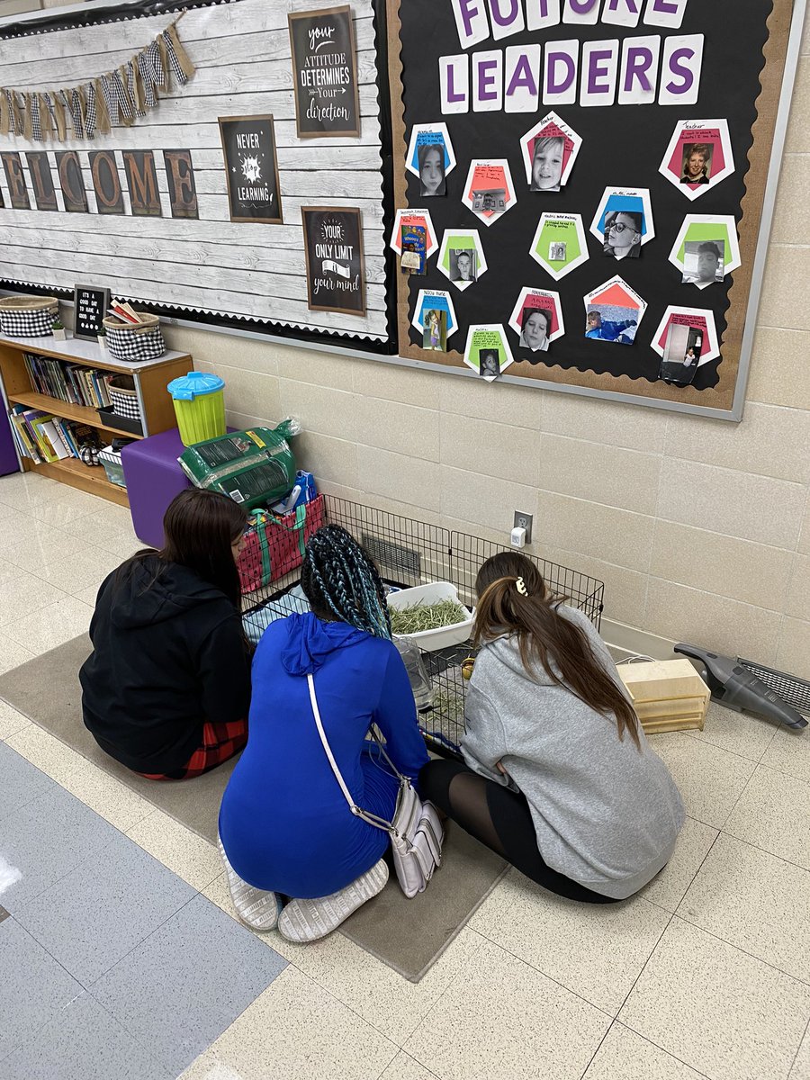 MaureenBruno's tweet photo. I’m not the only one happy to have Buster back at school!! #wermaumee #maumeepanthers #busterin209 https://t.co/xpfTAVR8sD