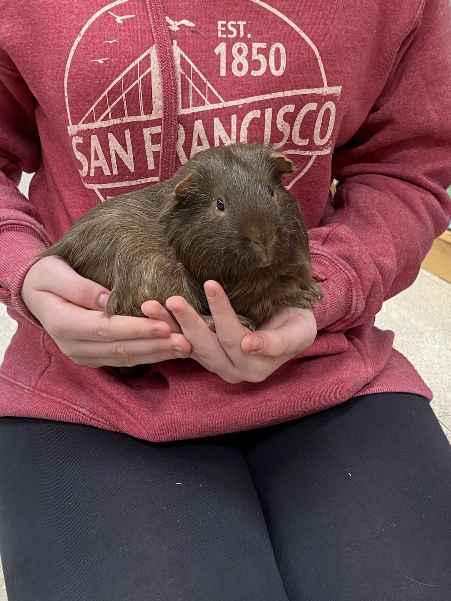 MaureenBruno's tweet photo. I’m not the only one happy to have Buster back at school!! #wermaumee #maumeepanthers #busterin209 https://t.co/xpfTAVR8sD
