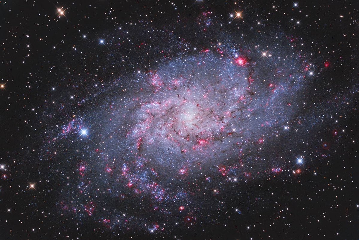 OPT_Telescopes's tweet photo. ⁠What was your most rewarding shot?⁠ 

According to @Gorilla_astro, this image of M33, the Triangulum Galaxy was both challenging and rewarding. 
⁠
Gear: ⁠
🔭GSO RC6, ⁠
📷ZWO ASI1600MM-C, ⁠
StellarDive HEQ5 Mount,⁠
Astrophysics CCTD67 Reducer, ⁠
QHY PoleMaster⁠ https://t.co/EuRp7ovtPW