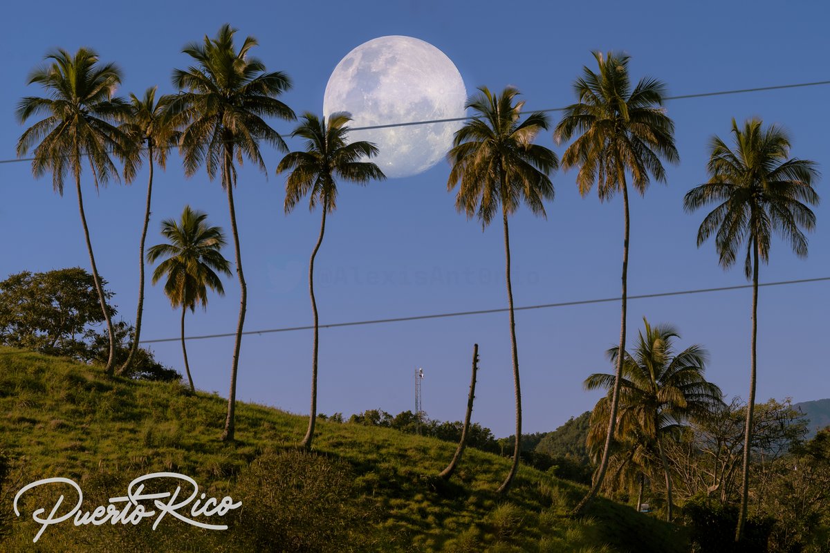 After getting tired of seeing so much crap moon and landscape pics that PR's weathermen share here, I captured this beautiful image for my own personal satisfaction! 😌

#puertorico #landscapephotography #photography #fullmoon #NaturePhotography #SonyAlpha