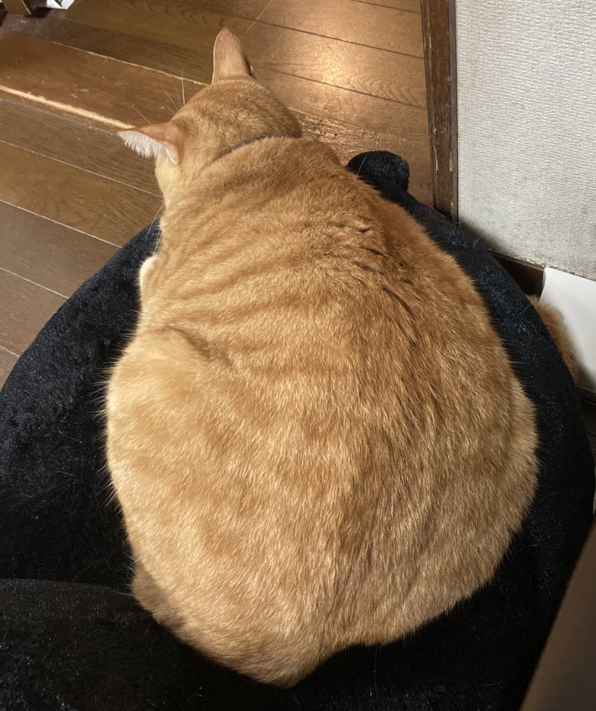 よきよき 