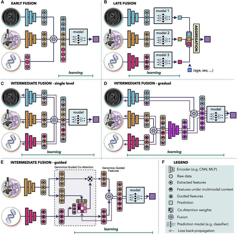 Artificial intelligence for multimodal data integration in oncology dlvr.it/Sb627k