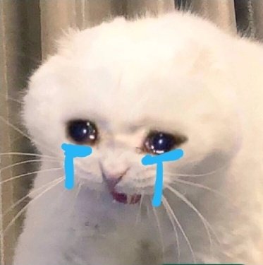 ᅠᅠᅠ
ᅠᅠᅠJugaron sin mi.