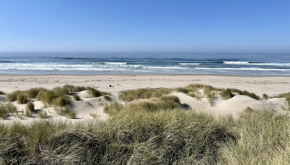 carly_ringer_'s tweet photo. We love field work! Conducting annual topo and vegetation surveys with some fellow grad students on the northern OR coast this week https://t.co/7wkmcA8OWd