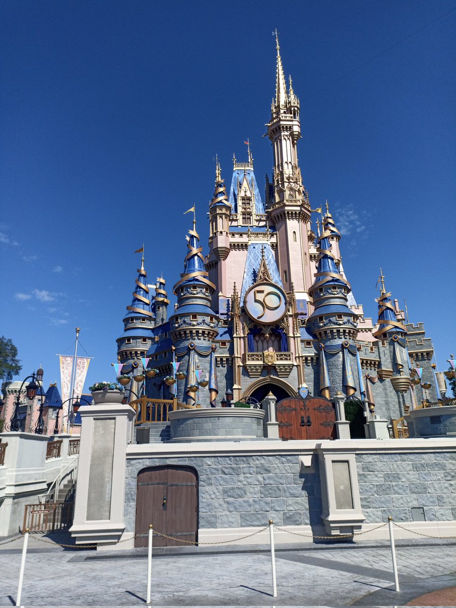 Heteroneuras🦋 tweet media