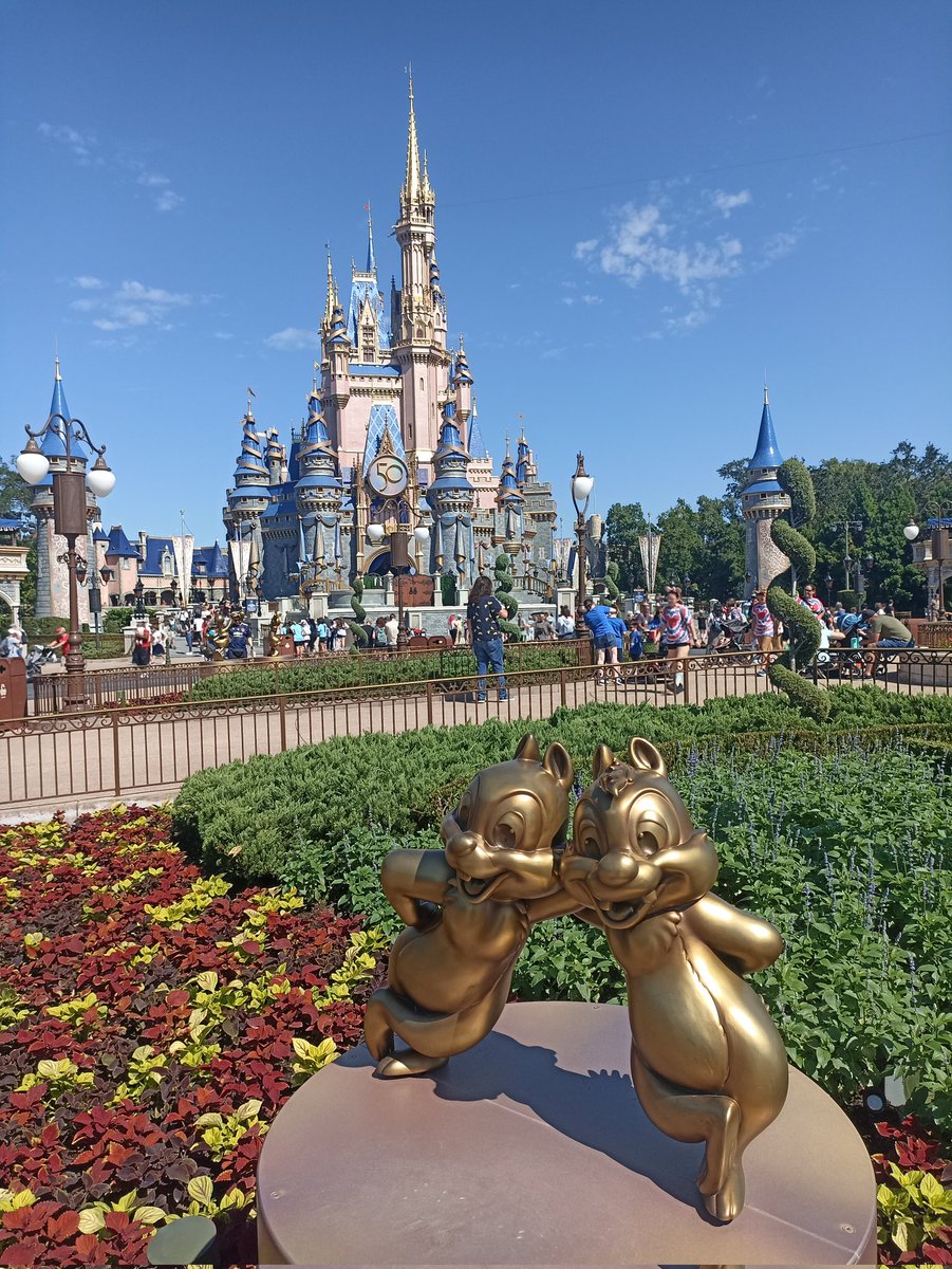 Heteroneuras🦋 tweet media