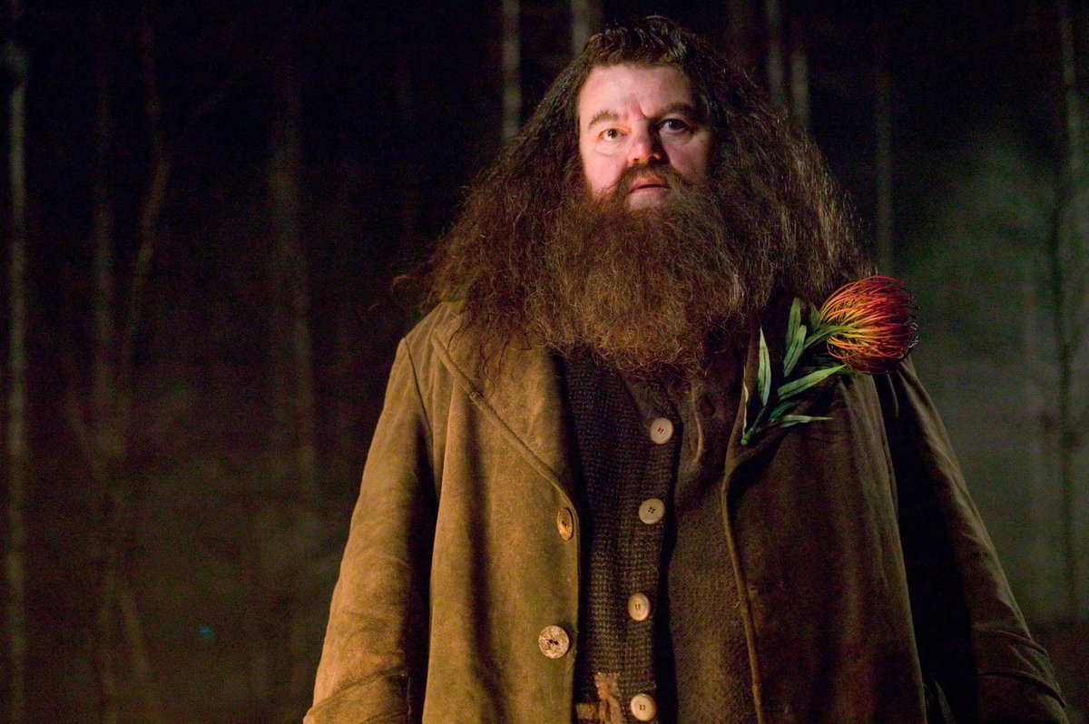 ShivamK33775218's tweet photo. #hogward ki jaan #Hagrid #RestInPeaceHagrid .. Miss you sir https://t.co/BWr0twCgU2