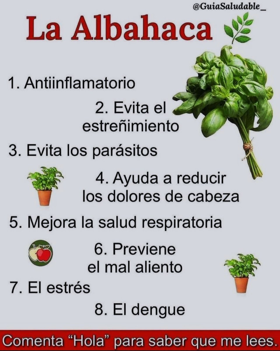 Tip Saludable Albahaca 🙏✨💫🌞🌞💫✨🙏