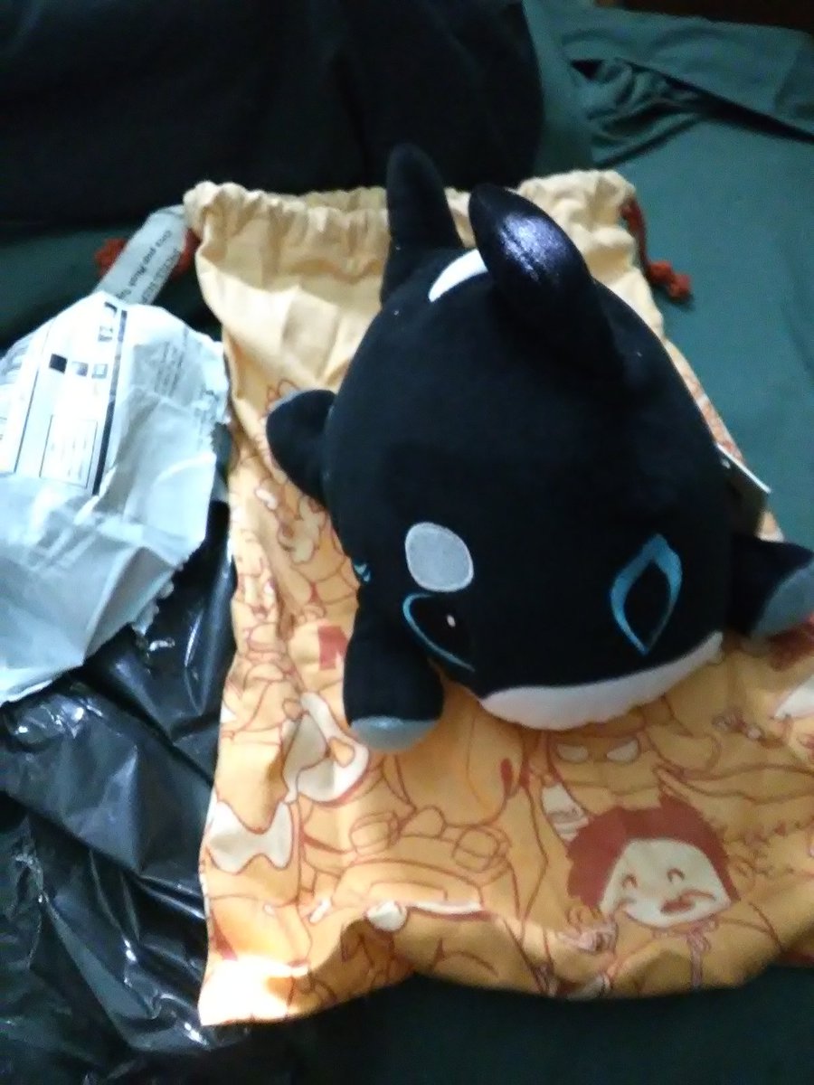 ClassicGlu's tweet photo. @shylilytwitch My Orca pup arrived today. I so happy. Thank you ❤️ Lily for being you. #orcapup. https://t.co/TXKJsy1r8i https://t.co/CEmnuqunf9