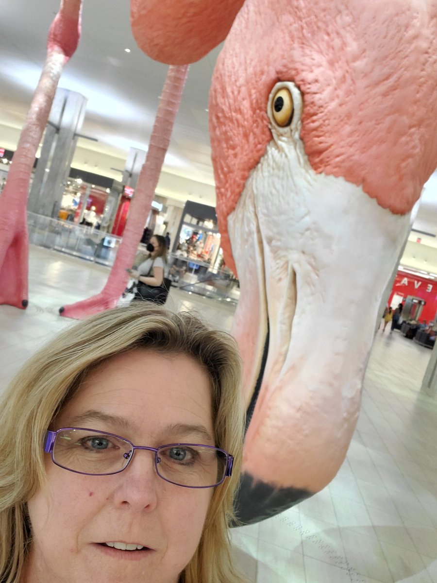 WendyHedeen's tweet photo. From palm trees 🌴 and beaches ⛱️ to deserts 🏜 and mountains ⛰️! El Paso, here I come to reunite with my fellow Tech Turkey, @MsDanielsStormy Let's go!! Teaching @MicrosoftFlip and @wakelet!!! It will be EPIC!!!🗣📣🌊🏄♀️ #MINIcast22 #MIEEXPERT https://t.co/TXYFuhCkwn