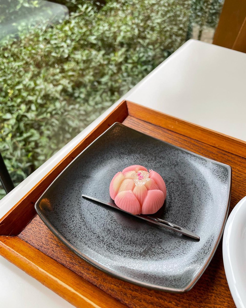 「山種美術館のカフェ椿にて、おいしくて美しいおやつ。展示作品をイメージした「蓮はな」|さとひ／渡辺裕子（仕事用）のイラスト