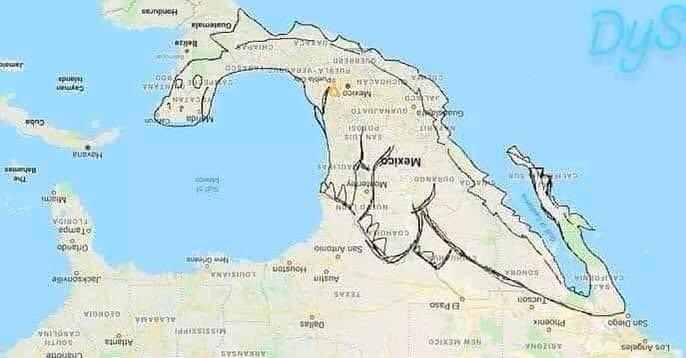 México al revés es un dinosaurio 🥺