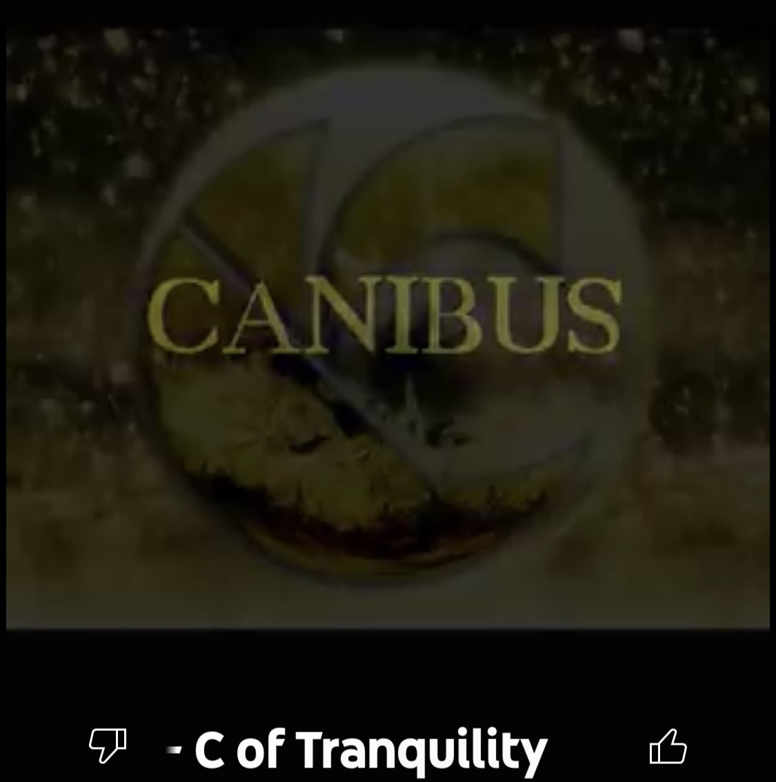RogLaw's tweet photo. @DaRealCanibus is my favorite rapper and C of Tranquillity is a horror show of lyrics. 

I don’t know where these bars came from, but it sure wasn’t this planet. 

https://t.co/W23xSObCWm

#StillGettingBetter #Artist https://t.co/1f8cGwP8BR