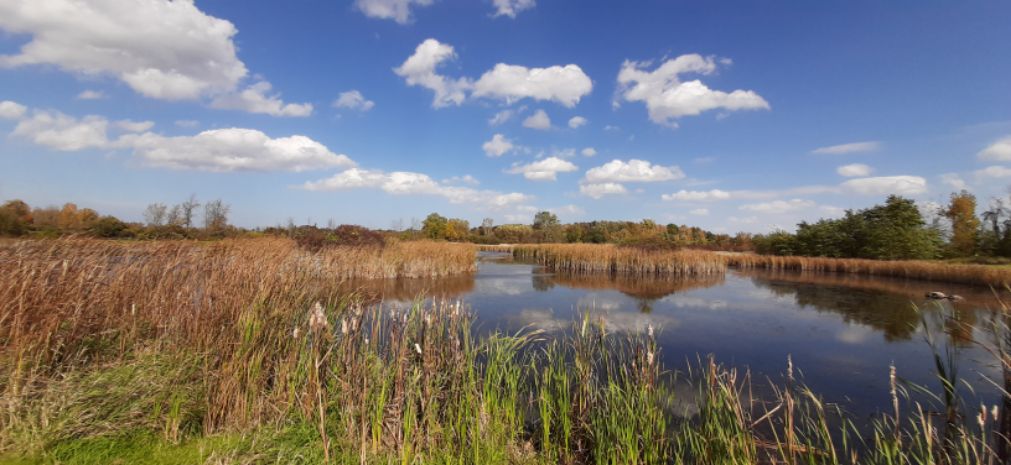 FototakerTony's tweet photo. We've been GONE all day. WHO doesn't like a #NatureArea? #NewYorkState has a lot of such places!! @newyorkstate #laNaturaleza @ExploreNYparks #WNY #Nature #JustLOOK #RESPECTnature #RESPECTtrees #CelebrateTREEs https://t.co/WFx9JBbiMX