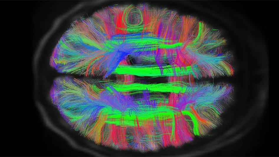 GVillage_School's tweet image. This headline gets progressively more bonkers with each successive word:
buff.ly/3T79bxZ
#ai #stemcells #biologicalcomputing #sciencefiction #artificialintelligence