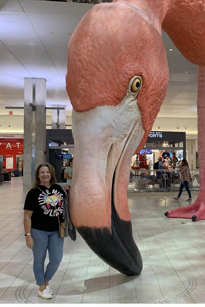 TeamCardella's tweet photo. Stopped at @FlyTPA to see the beautiful flamingo 🦩 and a quick dinner @PFChangs before heading to #nxtlargo in my favorite @AlexaBliss_WWE tshirt 💗 https://t.co/eTpp5Pn3Wv