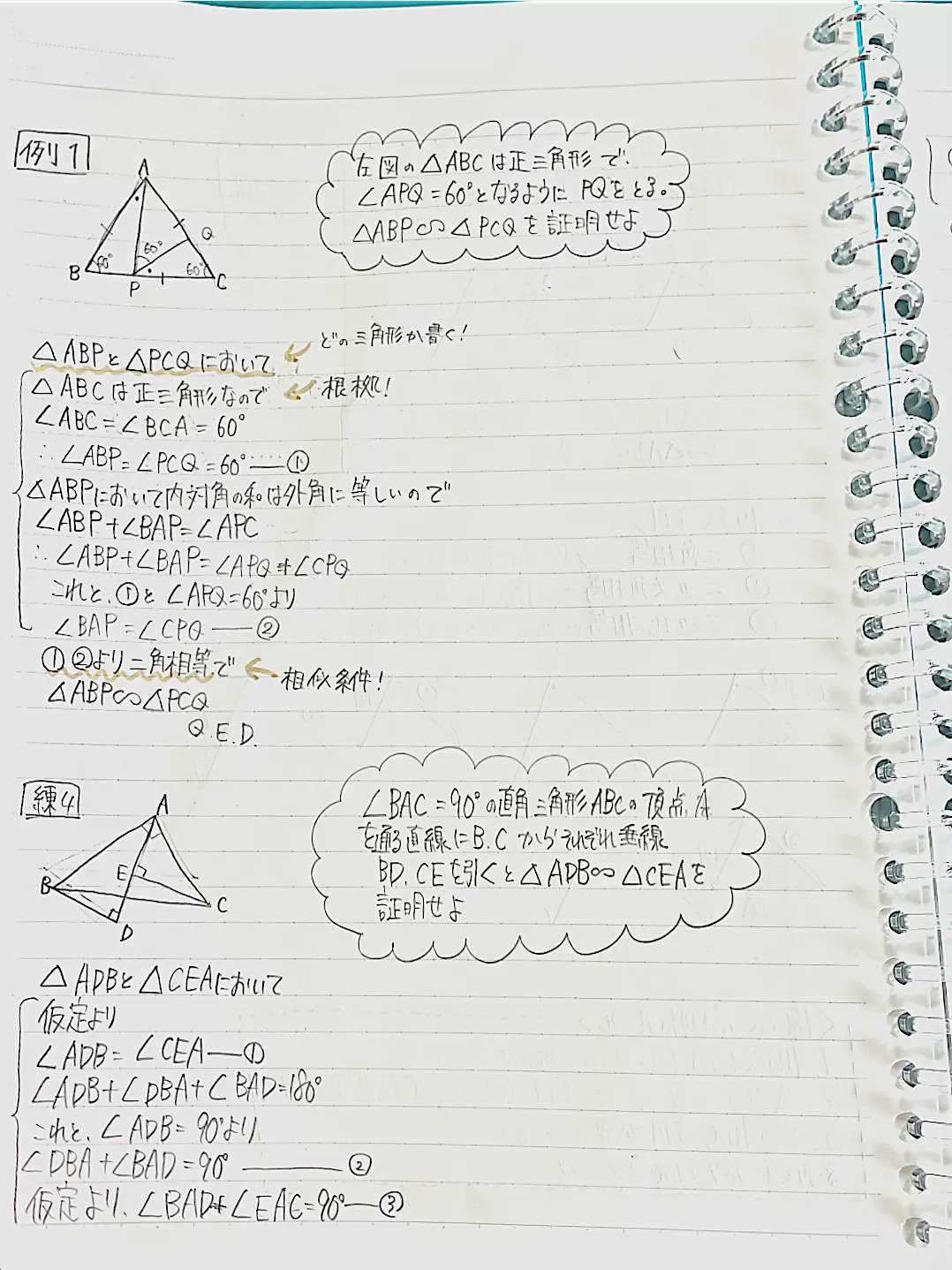 Clearnote 勉強ノートまとめ 今日のノート タイトル 相似まとめ 第一章 著者 由良ﾁｬﾝ 10月もそろそろ折り返し 受験勉強も残り少しです 寒さに負けず乗り切りましょう 勉強垢さんと繫がりたい 中3 数学 相似 相似条件 テスト対策 高校