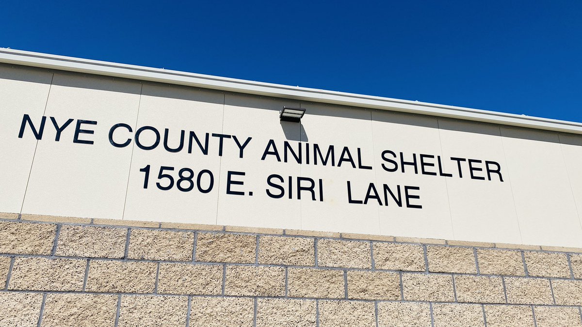 BoyMom_BeachGaL's tweet photo. Alright #OPLive #OPLNation @OfficialOPLive @ReelzChannel I have a #BlueBenjamin update! I went to the Nye County Animal Shelter. Blue Benjamin was reclaimed by his owner after his quarantine. If I see them around town, I’ll donate some dog food. LOTS of great dogs here! Adopt! https://t.co/MDYu47p15d