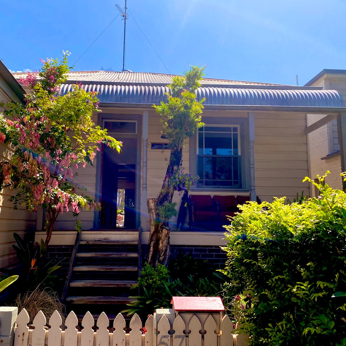 ConcettaAntico's tweet image. Travelling today in Austinmer Beach, NSW - found thistle cottage and fell in love with romance.  #travel #romance #livingcolor #flowers #thistle #NatureBeauty