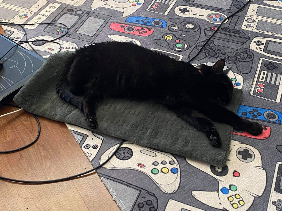 WPCGeekboy 💾🖥️ ➡️ offkai tweet media