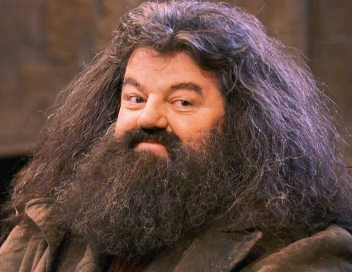 HPotterUniverse's tweet photo. “There, there, Hagrid. It's not really goodbye after all.”

#RIPRobbieColtrane https://t.co/AGngW59Yvc