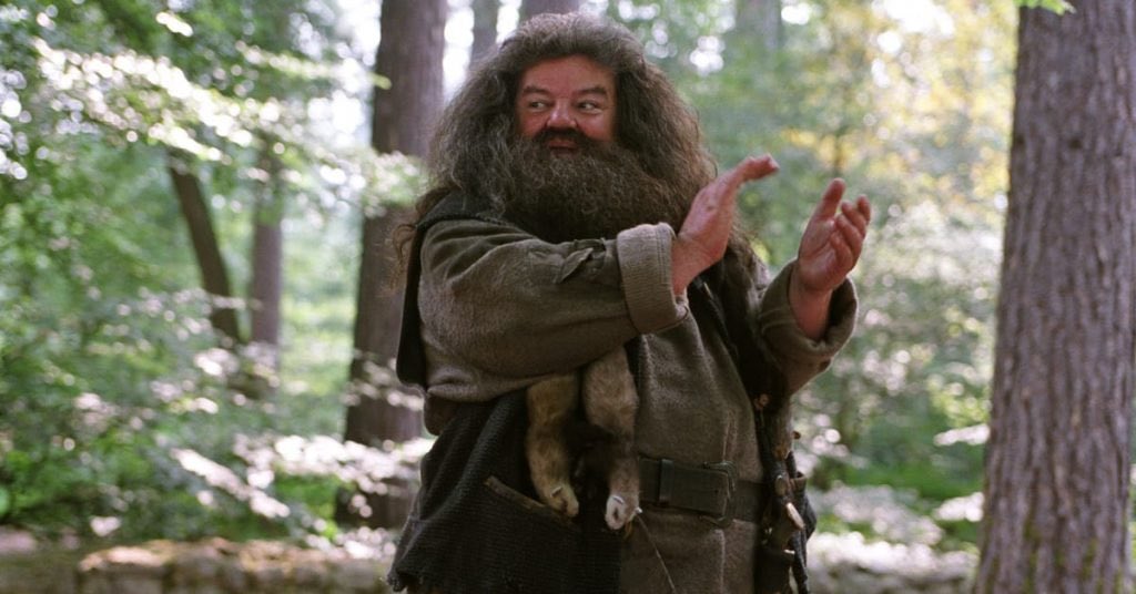 HPotterUniverse's tweet photo. “There, there, Hagrid. It's not really goodbye after all.”

#RIPRobbieColtrane https://t.co/AGngW59Yvc