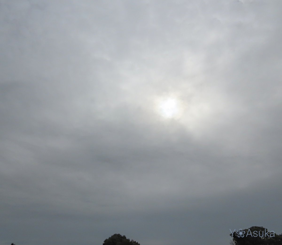yumeasutw's tweet photo. #おぼろ雲 が広がりお日様は朧気な土曜日の朝🌥️
頭上に僅かに青空が💙
予想最高/最低気温🌡️24℃/17℃
曇り時々晴れ☁️/☀️
午後は晴間があるものの雲が多い一日となりそうです。
#空の名前
#雲の教室
#天気の図鑑 #雲友の会
#高層雲 #高積雲
#ネメシア #庭花 #花 #Flower
#a2022 #a1015 #a202210 https://t.co/a3PZY6yHwE