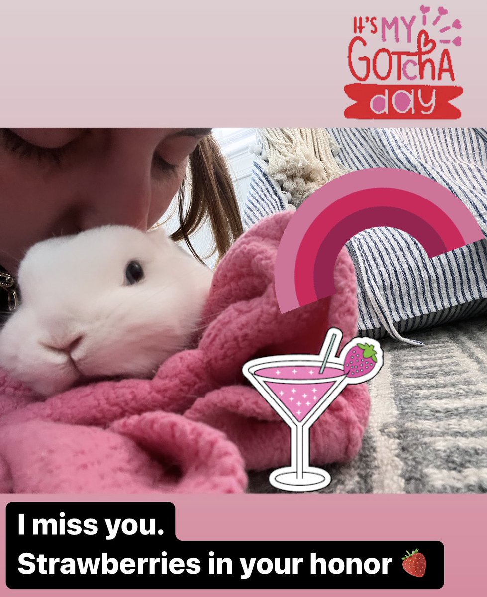 Magic the Bunny tweet media