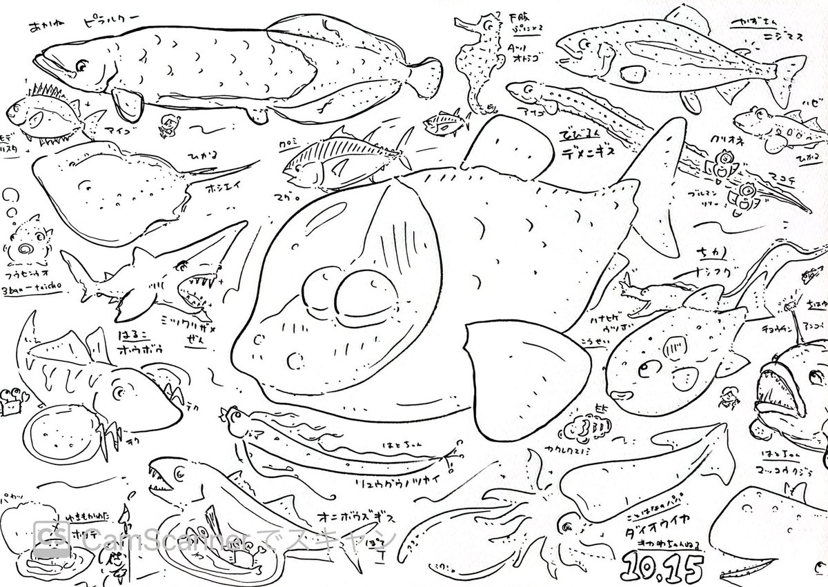 週末朝のおえかき水族館配信🎨🐟
ありがとうございましたー!

ライブ配信で描いたイラストは
自由にダウンロードして印刷して
ぬりえとして使ってね!

完成したら #かわちゃんねる つけて
ぜひ教えてくださーい🙌

描いていった工程はアーカイブから🔻
https://t.co/pyAl0rXtgn 