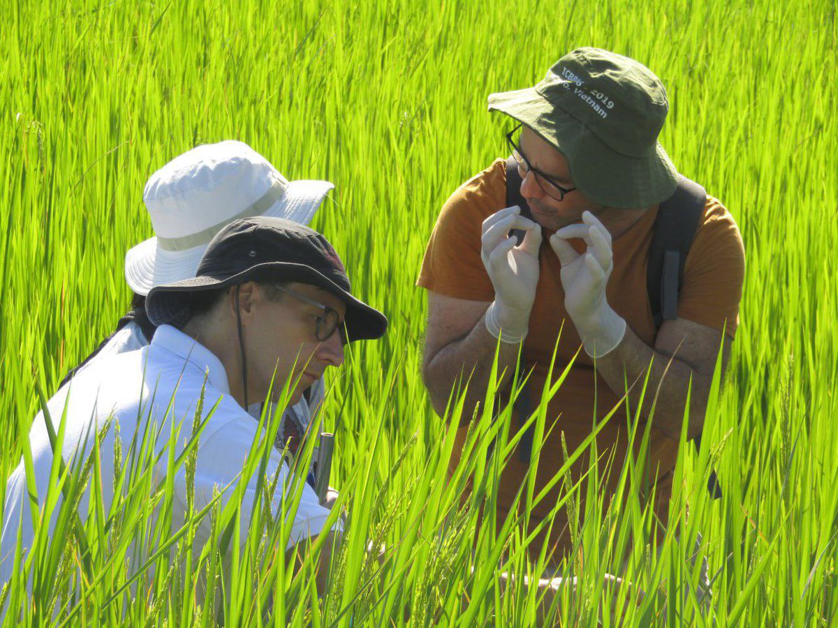 pinginphnompenh's tweet photo. The Povincial Department of Agriculture, Forestry and Fisheires #Preah #Vihear has once again conducted another farmer field visit where farmers from different villages were invited to see the farmlands practiced with #conservation #agriculture through #MetKasekor #Model. https://t.co/hD1r4tFfbI