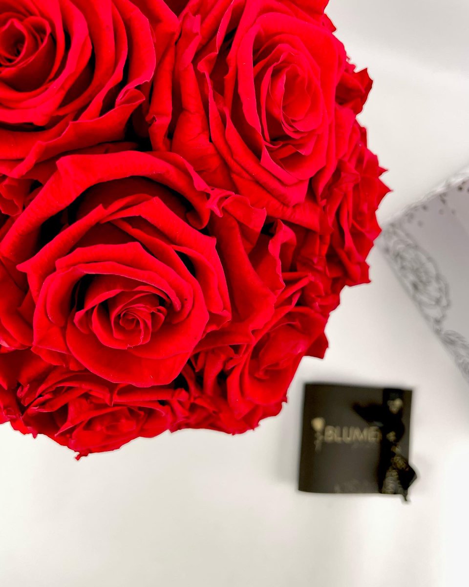 blumenecuador's tweet photo. En las más especiales e inolvidables ocasiones debes tener a tu lado un hermoso #BLUMENbaum 🌹 .
.
🌹 Calidad de exportación .
🌹 Enviamos a todo el 🇪🇨 . 
🌹 El mejor regalo 🌹 .
.
#Ecuador #flores #floreseternas #rosaspreservadas #regalos #arreglosflorales https://t.co/oYEH1CKATL