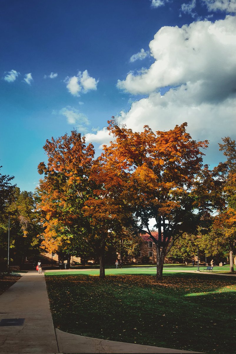 GM. Fall Szn 🍁🍂