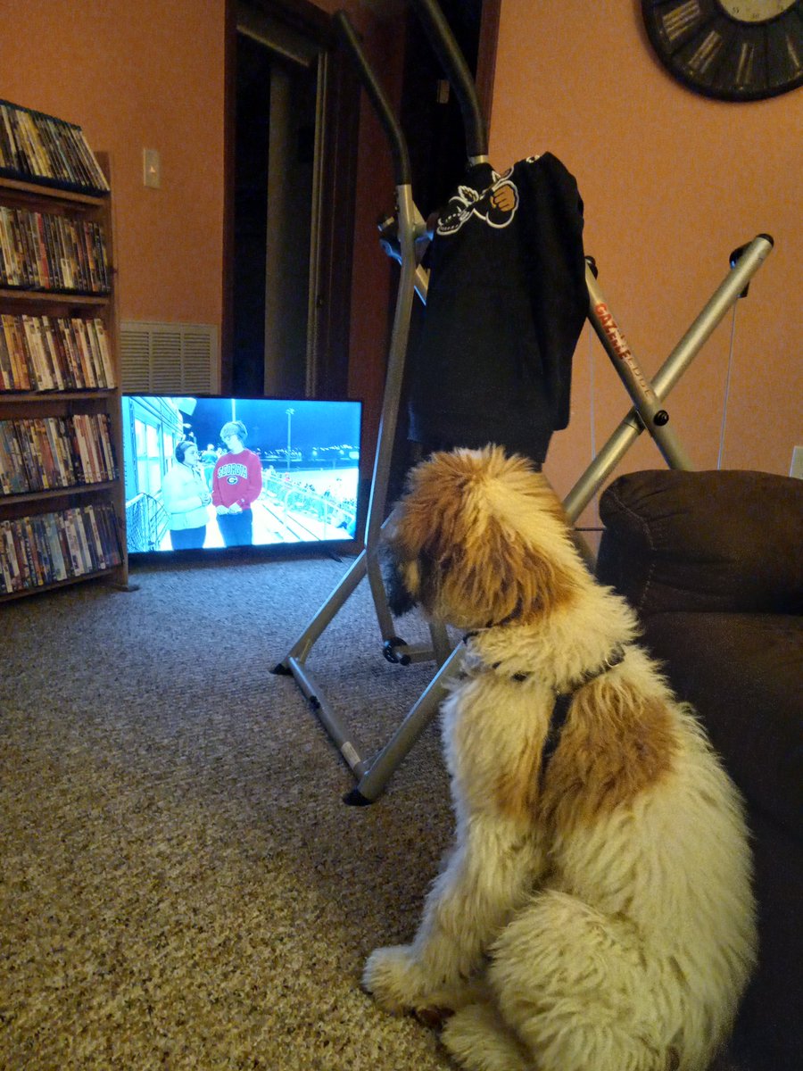 Even my dog Prince likes watching Sophia and Gabe commentate Kmc football games.