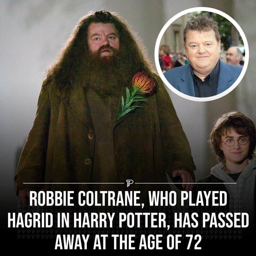 MerushkaP's tweet photo. 💔 There's no Hogwarts without you Hagrid 😥... RIP Robbie Coltrane #Hagrid #RobbieColtraine #RIPHagrid https://t.co/Klhc5K1cy5