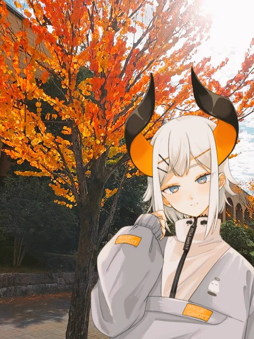 秋だね 