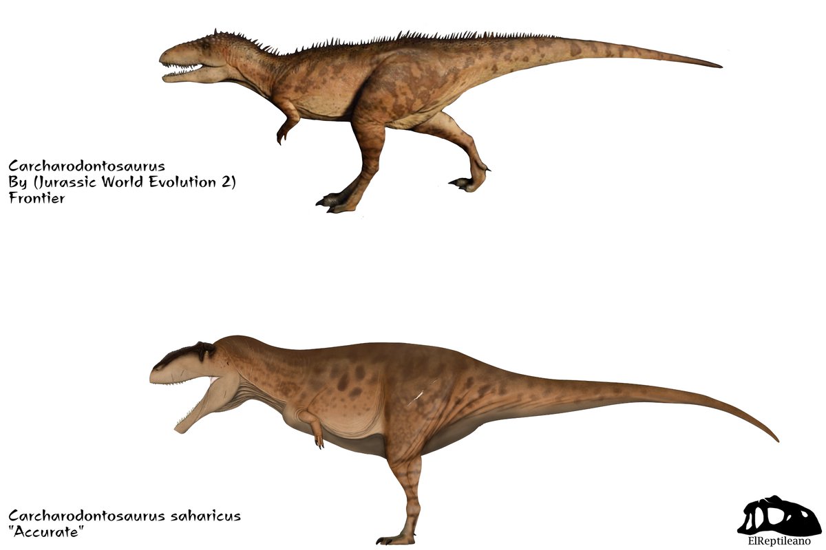Carcharodontosaurus in its \, image size:1200x800