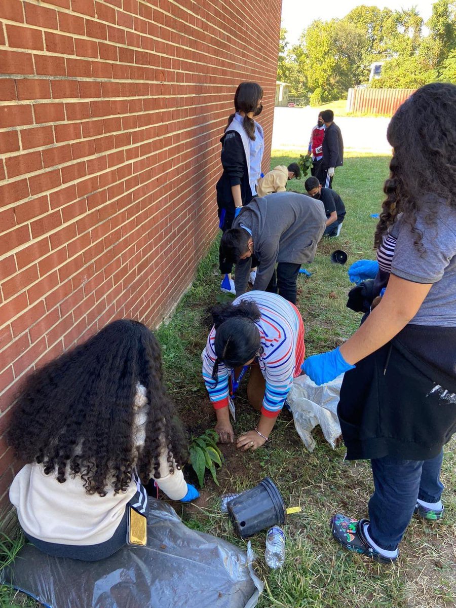 Gabriela Bocaletti (@garbotti_g) on Twitter photo Today our IHSLP students did an amazing job and worked as a team during the beautification day by planting trees, flowers, and more. <a href="/ihslpsga/">International High School at Langley Park SGA</a> <a href="/IHSatLP/">IHS at Langley Park</a> <a href="/DrHumphrey5/">Dr. Humphrey</a>
We love our community 💪🏼❤️
#IHSLP #Phoenixunited Today our IHSLP students did an amazing job and worked as a team during the beautification day by planting trees, flowers, and more. <a href="/ihslpsga/">International High School at Langley Park SGA</a> <a href="/IHSatLP/">IHS at Langley Park</a> <a href="/DrHumphrey5/">Dr. Humphrey</a>
We love our community 💪🏼❤️
#IHSLP #Phoenixunited