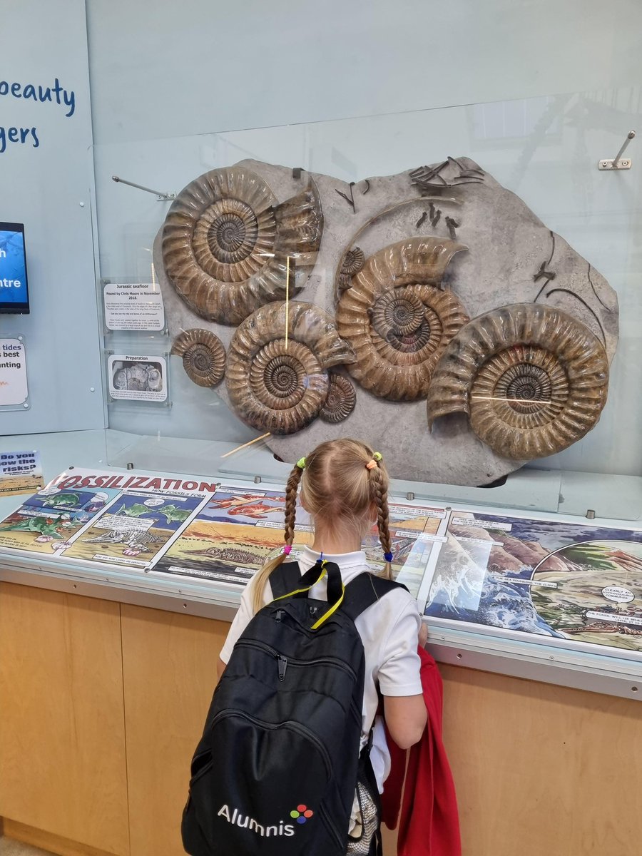 Year 5 Dorset Residential 2022. Fossil finding at Charmouth. The children discussed that to be a good fossil hunter you needed: good eyes, determination, patience and perseverance. 

#dorset2022 #inspiringadventurer