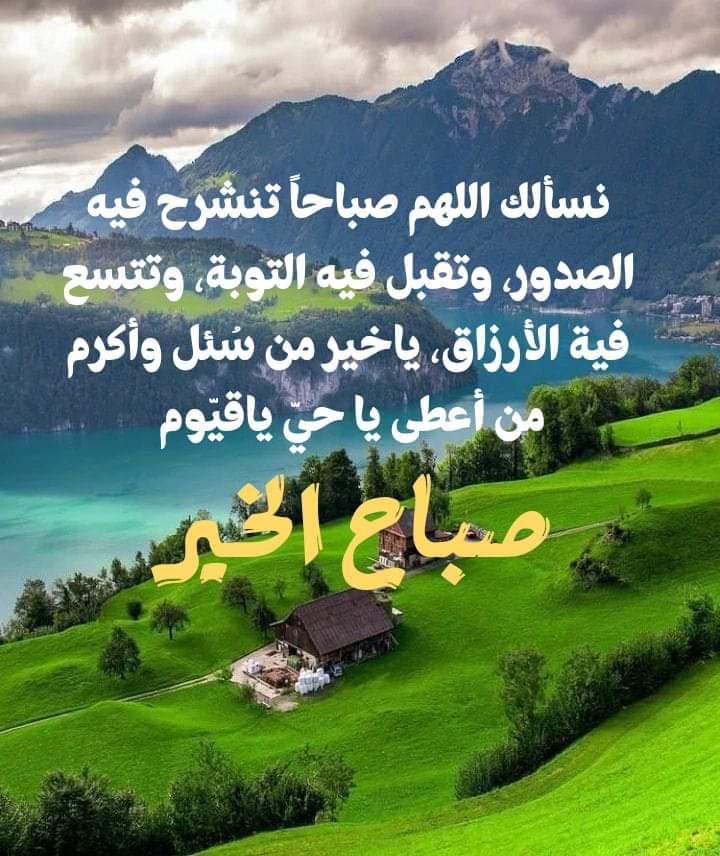 eeshekh's tweet photo. @hebaosta2 https://t.co/WVG4VNRypq