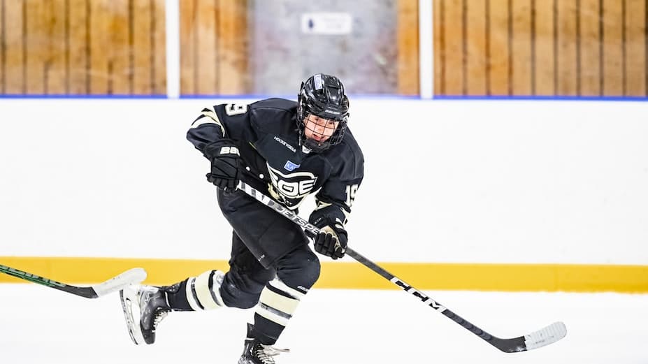 SDHLse's tweet photo. .@sdehockeydam hoppas utöka avståndet till @AIKishockey.
https://t.co/LOA1p2pyVW
#twittpuck #SDHL #svssdhl #ishockey #SDEAIK https://t.co/fXE0CJ0Viu