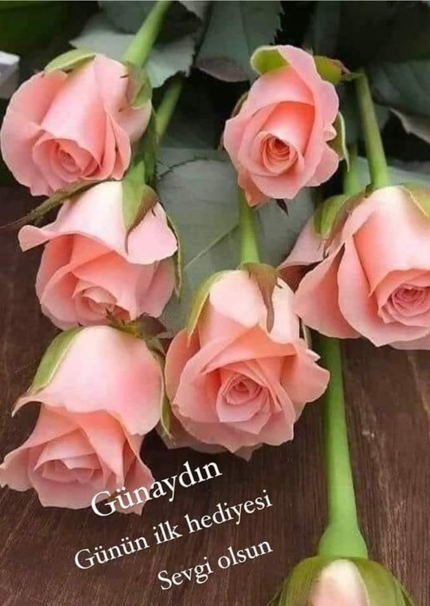 Ybbilge1's tweet photo. @Sanemcii Gunaydinlar guzel ve keyifli bir hafta sonu geçirmeniz dileği ile sevgiler ⚘🌹💐💕😘 https://t.co/sL6cIqCLQd