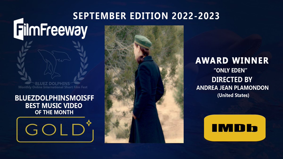 BLUEZ DOLPHINS - MONTHLY ONLINE SHORT FILM FEST tweet media