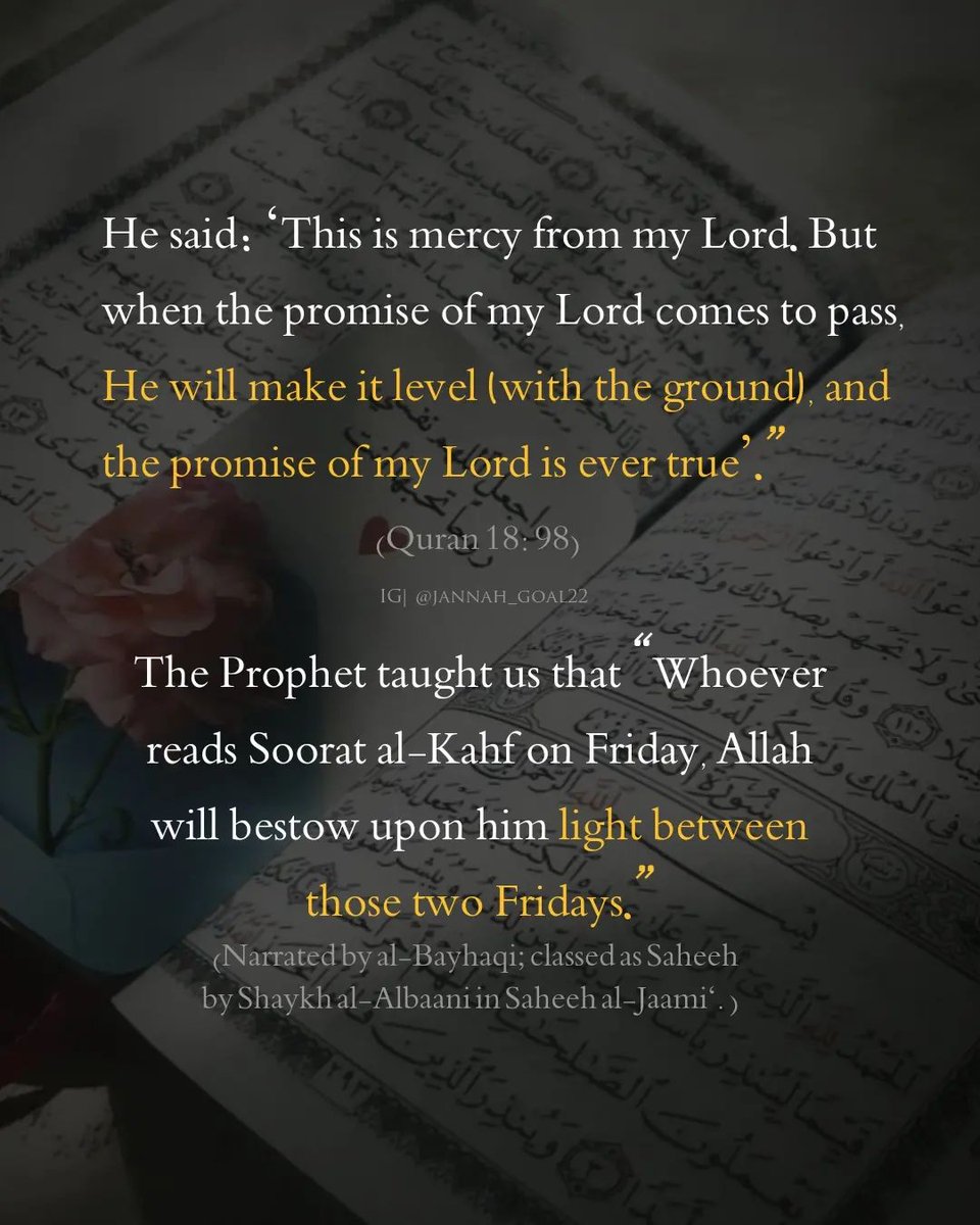 𝟒 𝐒𝐭𝐨𝐫𝐢𝐞𝐬 𝐨𝐟 𝐒𝐮𝐫𝐚𝐡 𝐀𝐋-𝐊𝐀𝐇𝐅✨
▫ Thread 🧵
▫ Read all the slides 💜📝

1/6 https://t.co/Ll0PklzOtK