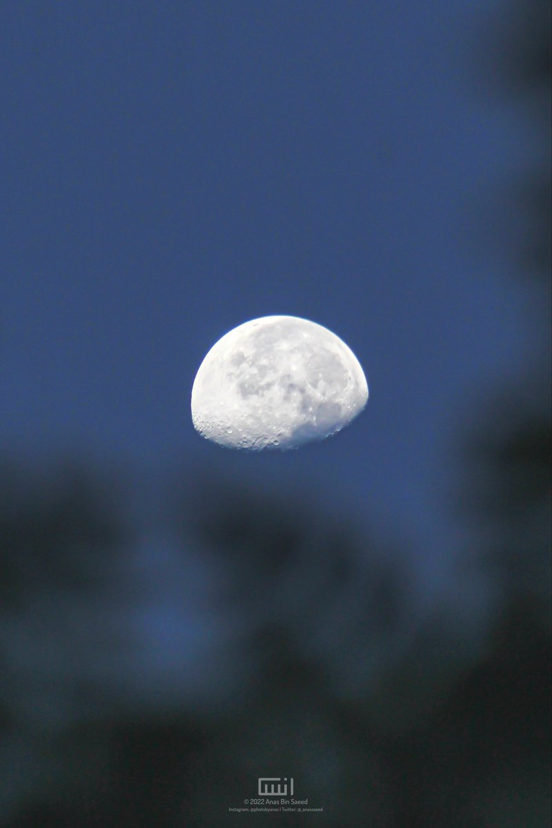 _anassaeed's tweet photo. Moon from early morning today 🌖 https://t.co/E8tGqMRCua