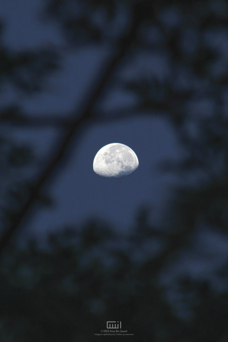 _anassaeed's tweet photo. Moon from early morning today 🌖 https://t.co/E8tGqMRCua