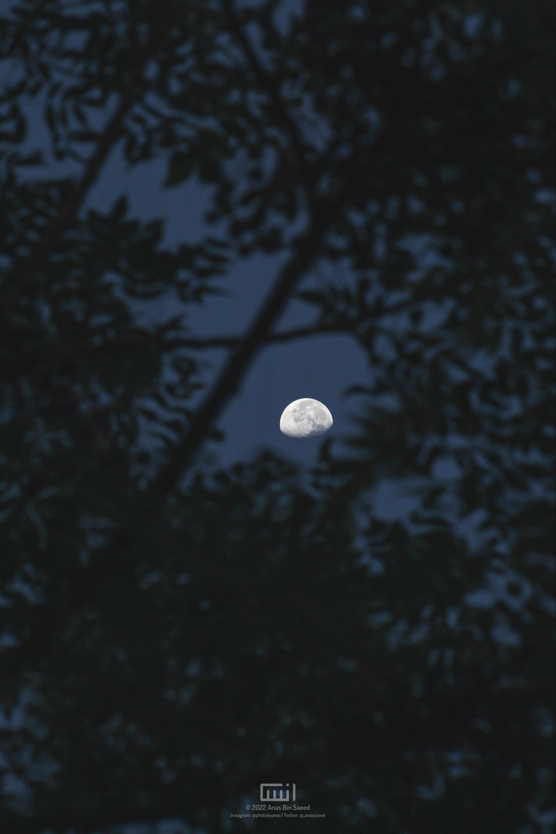 Moon from early morning today 🌖