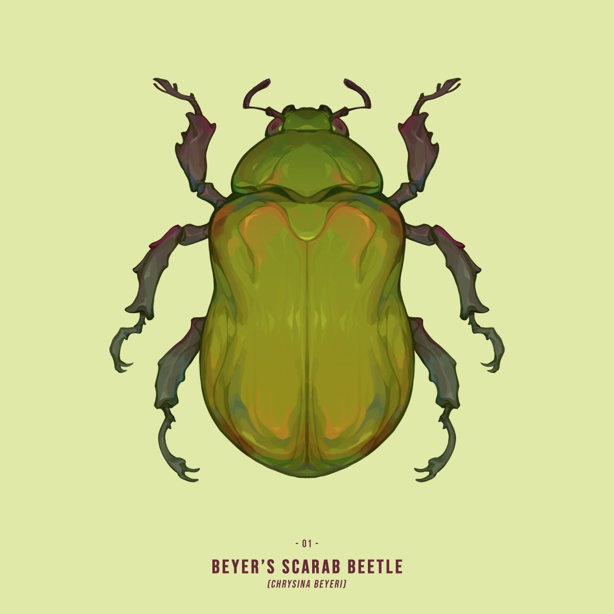 「01. beyer's scarab beetle #invertober202」|❖ CORVIDAY ❖のイラスト