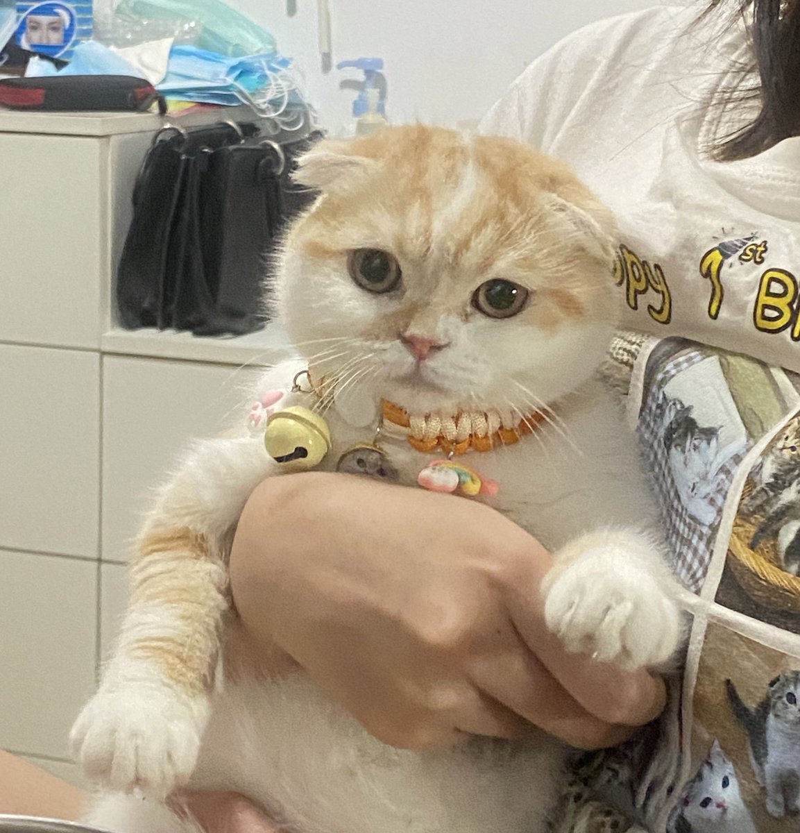 KeamPim's tweet photo. ปล่อยหนูนะยาย! https://t.co/2CW0xcmWUK