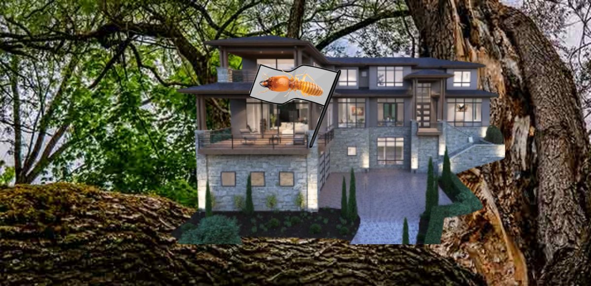 Party at termite house tonight will have lots of sawdust be ready for a crazy night 🤙