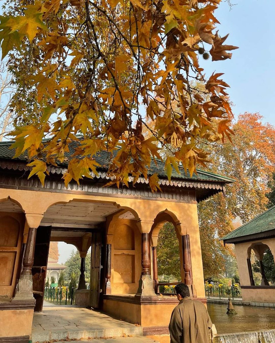 THYAdventure's tweet photo. When there’s a nip in the air and the autumn sun beckons… before winter sets in,soak in the warmth of October.

#dreamwiththy #thyadventure https://t.co/Ha0IKGOJhN